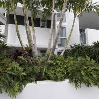 Plantability Landcaping Full Green Tropical Garden Beds