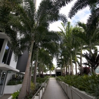 Plantability Landcaping Full Green Tropical Garden Beds along walkway