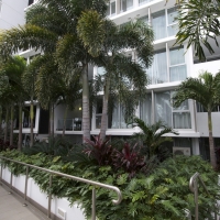 Plantability Landcaping Full Green Tropical Garden Beds along walkway