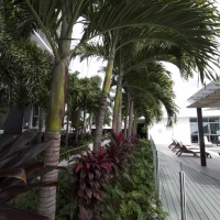 Plantability Landscaping Lush Gardenbeds in Tropical Paradise Rockhampton