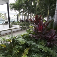 Plantability Landcaping Lush Green Tropical Garden Bed