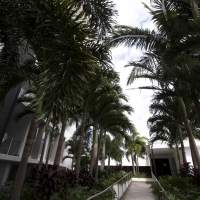 Plantability Landcaping walkway