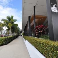 Plantability Landcaping Perfect Hedges