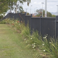 Plantability Landscaping along Fence
