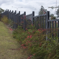 Plantability Landcaping along Fence