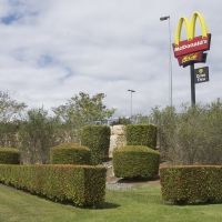 Plantability Landscaping Verge Gracemere